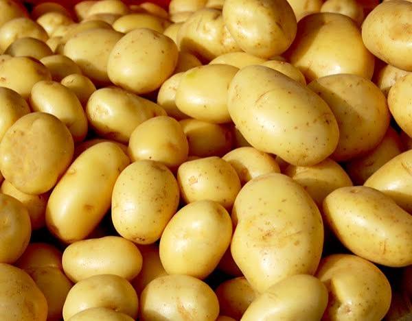 Batatas
