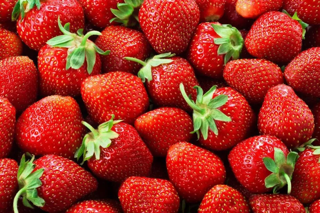 Frutos vermelhos